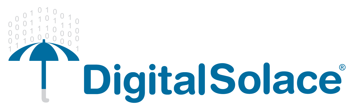 DigitalSolace logo